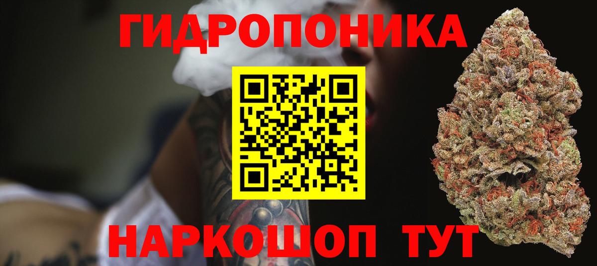 Конопля Bruce Banner Балтийск